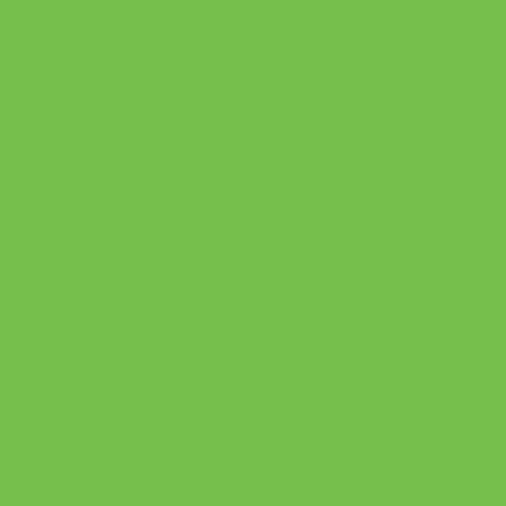 6013 Solid Apple Green